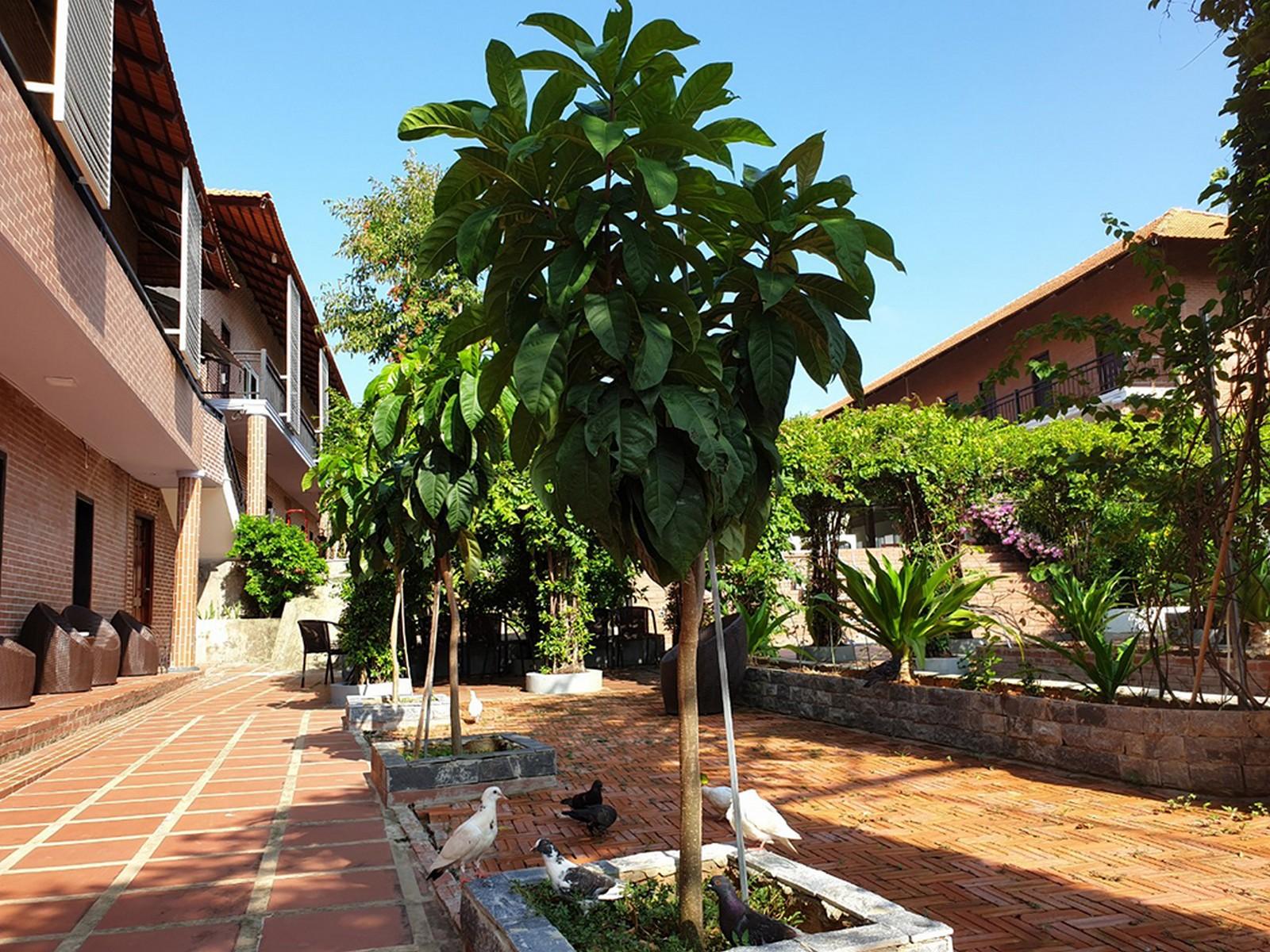 Countryside Phu Quoc Resort Esterno foto